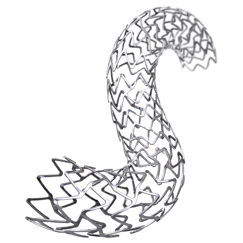 Promus ELITE Permanent Polymer DrugEluting Stent Boston Scientific